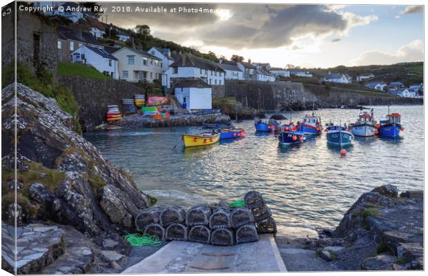 Into the Light (Coverack). Canvas Print by Andrew Ray