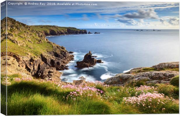 Spring at Mayon Cliff (Sennen Cove) Canvas Print by Andrew Ray