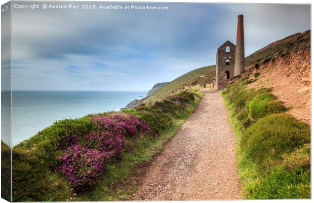 Footpath to Towanroath Engine House (Wheal Coates) Canvas Print by Andrew Ray