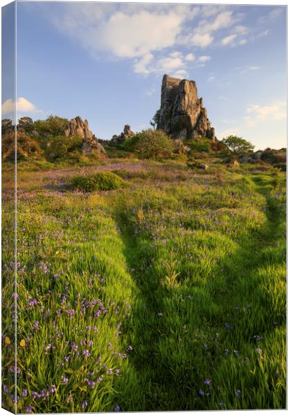 Bluebells at Roche Rock Canvas Print by Andrew Ray