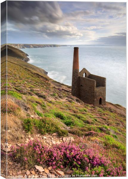 Early evening light (Wheal Coates) Canvas Print by Andrew Ray