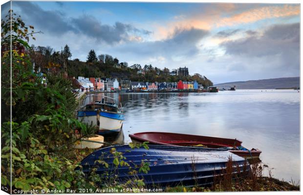 Boats at sunrise (Tobermory) Canvas Print by Andrew Ray