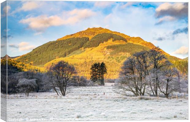 Frosty morning in Glen Goil Canvas Print by Andrew Ray