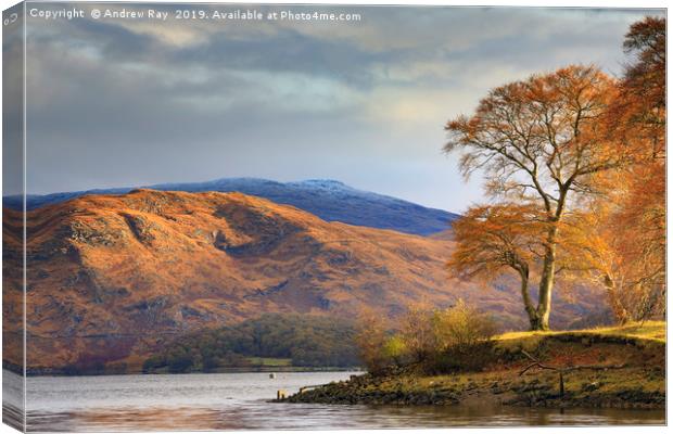 Morning light (Taynuilt) Canvas Print by Andrew Ray