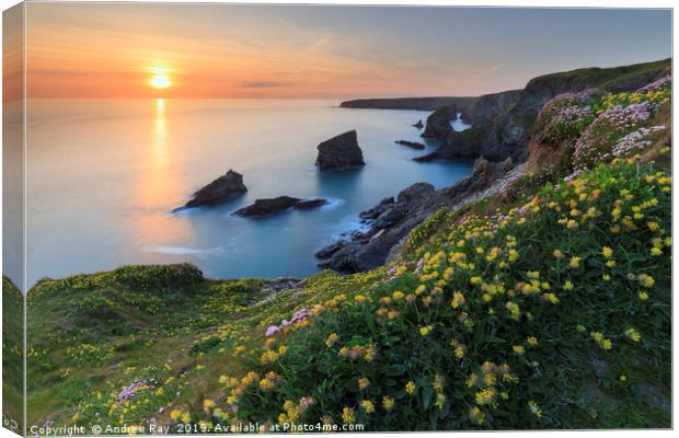 The setting sun at Bedruthan Steps. Canvas Print by Andrew Ray
