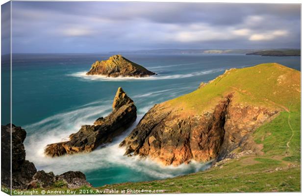 Towards the Mouls (Port Quin Bay) Canvas Print by Andrew Ray
