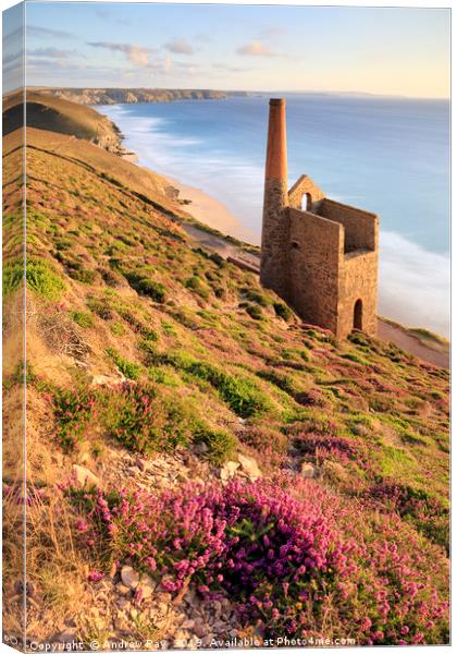 Above Wheal Coates Canvas Print by Andrew Ray