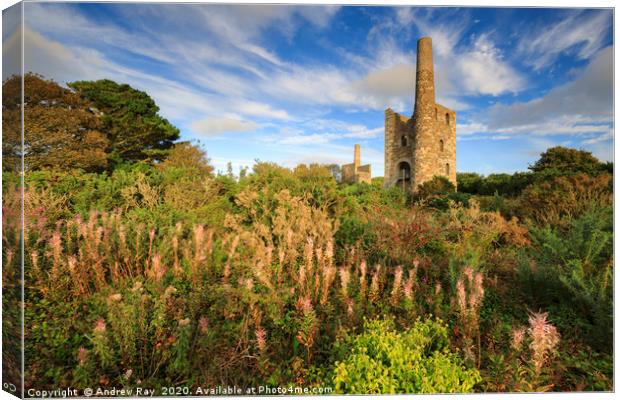 Late summer at Wheal Peevor Canvas Print by Andrew Ray