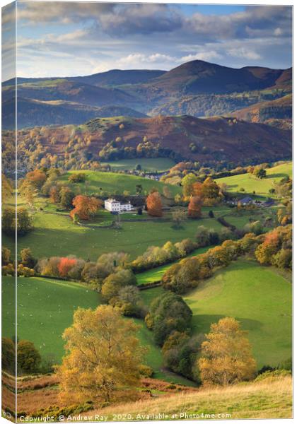 Castell Dinas Brân view Canvas Print by Andrew Ray