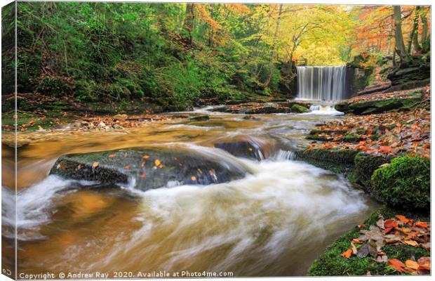 Autumn colour at Nant Mill Waterfall Canvas Print by Andrew Ray