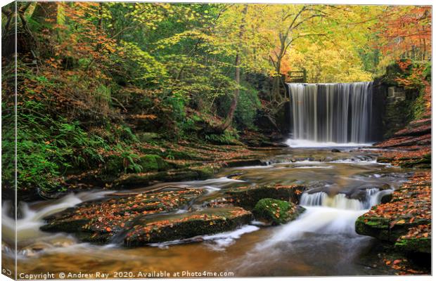 Waterfall at Nant Mill Canvas Print by Andrew Ray