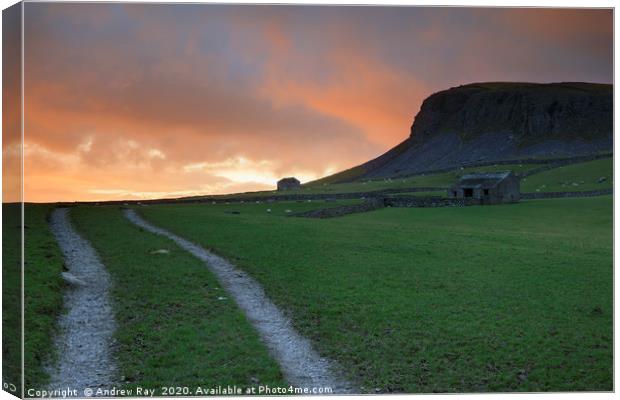 Sunset over Norber Scar Canvas Print by Andrew Ray
