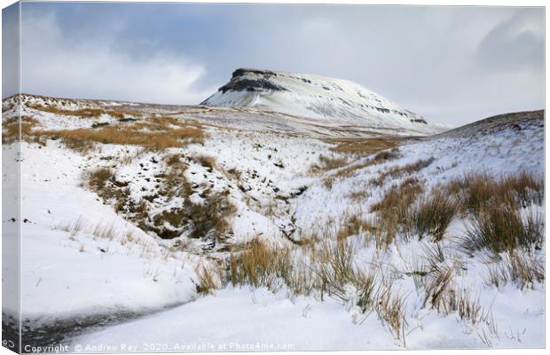 Snowy morning (Pen-y-ghent) Canvas Print by Andrew Ray