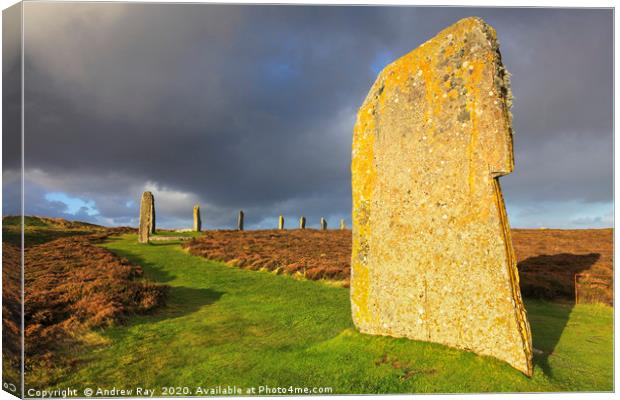 Ring of Brodgar Canvas Print by Andrew Ray