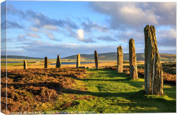 Late Light at the Ring of Brodgar Canvas Print by Andrew Ray