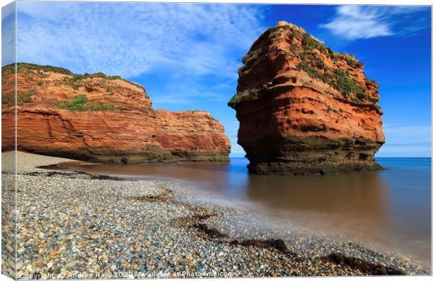 Sandstone Sea Stack (Ladram Bay) Canvas Print by Andrew Ray