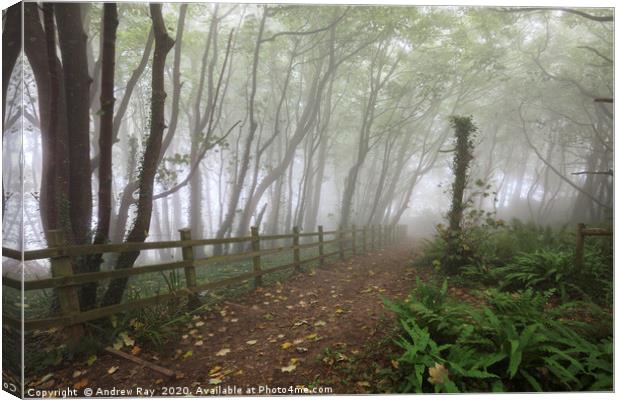  Misty Tree's (Peak Hill near Sidmouth) Canvas Print by Andrew Ray