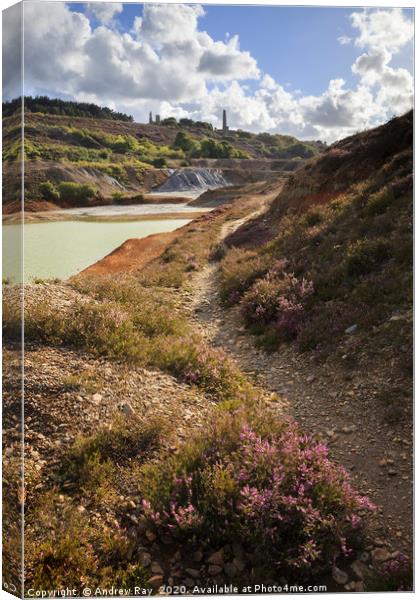 Path in Wheal Maid Valley Canvas Print by Andrew Ray