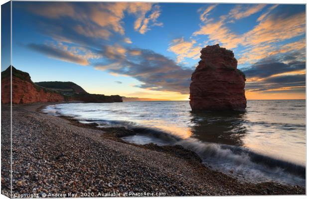 Sunrise at Ladram Bay Canvas Print by Andrew Ray