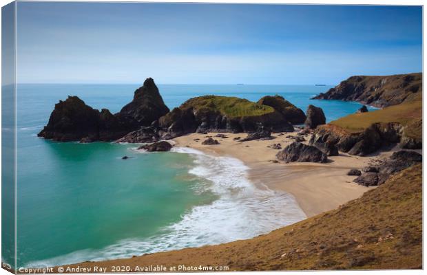Low Tide at Kynance Cove Canvas Print by Andrew Ray