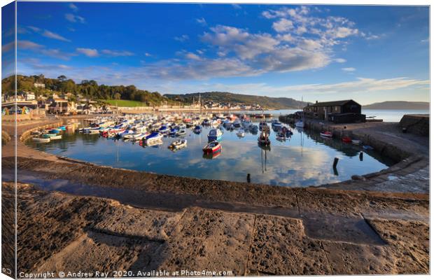 Harbour View (The Cobb Canvas Print by Andrew Ray