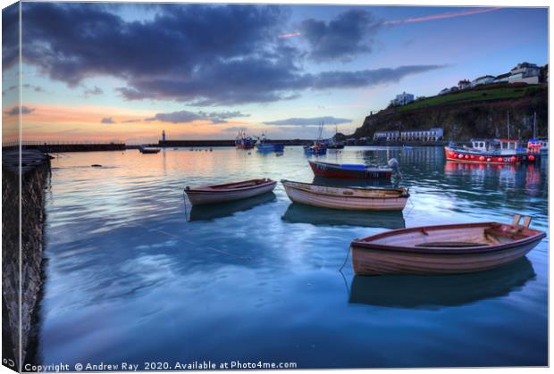 Mevagissey Outer Harbour at Sunrise Canvas Print by Andrew Ray