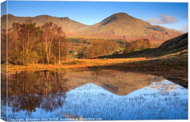 Reflections in Kelly Hall Tarn Canvas Print by Andrew Ray