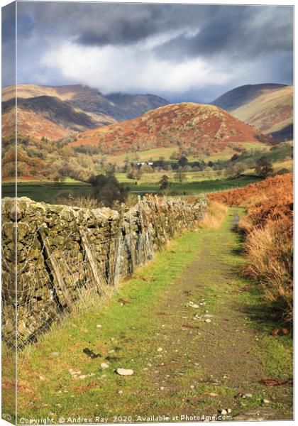 Troutbeck Valley Canvas Print by Andrew Ray