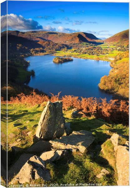 Grassmere View Canvas Print by Andrew Ray