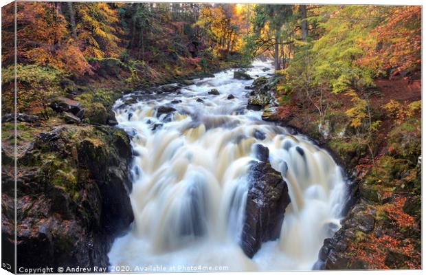 River Braan at the Hermitage Canvas Print by Andrew Ray
