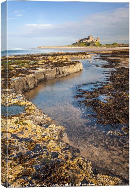 Bamburgh Ledges Canvas Print by Andrew Ray
