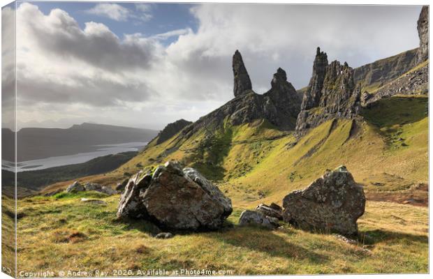 Old Man of Storr Canvas Print by Andrew Ray