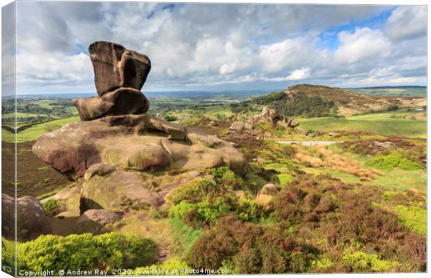 Ramshaw Rocks Canvas Print by Andrew Ray