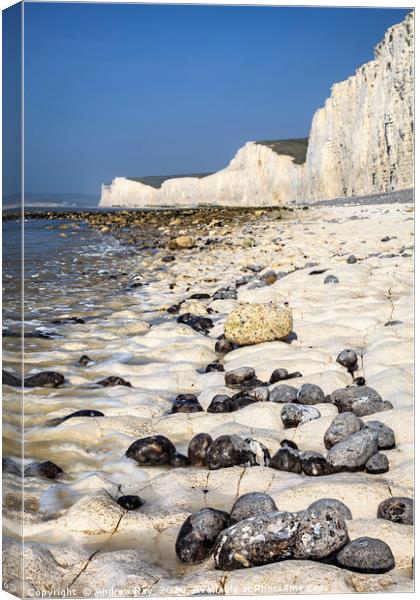 Rocky Shore (Seven Sisters) Canvas Print by Andrew Ray