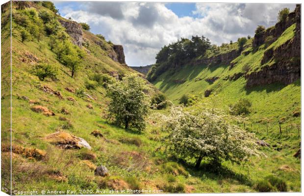 Spring in Lathkill Dale Canvas Print by Andrew Ray