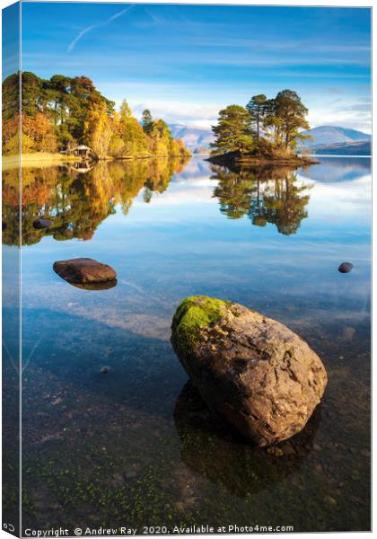 Reflections at Abbot's Bay (Derwentwater) Canvas Print by Andrew Ray