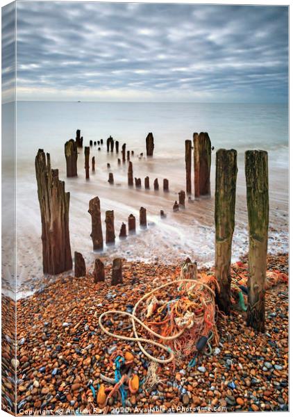 Groynes at Rye Harbour Canvas Print by Andrew Ray