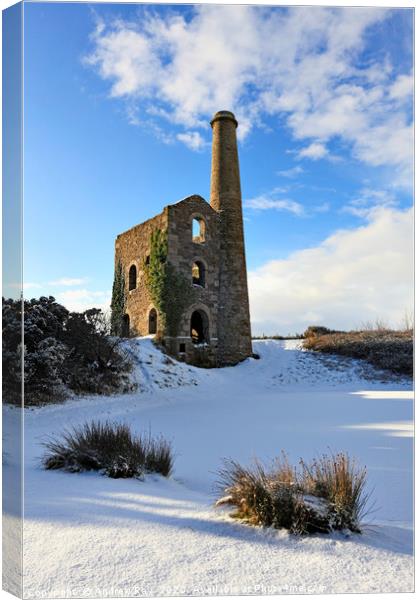 Winter at United Downs Canvas Print by Andrew Ray