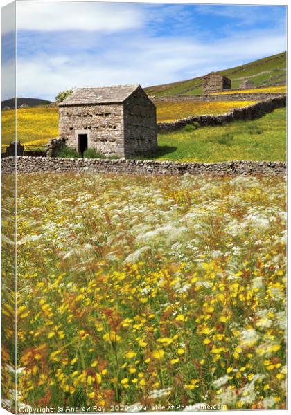 Thwaite Barns Canvas Print by Andrew Ray