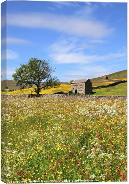 Thwaite Hay Meadow Canvas Print by Andrew Ray