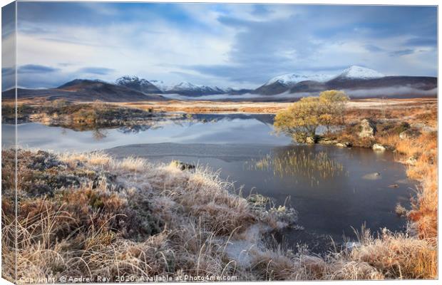 Towards Black Mount Canvas Print by Andrew Ray