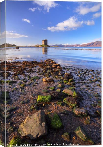 Rocky Shore (Castle Stalker) Canvas Print by Andrew Ray