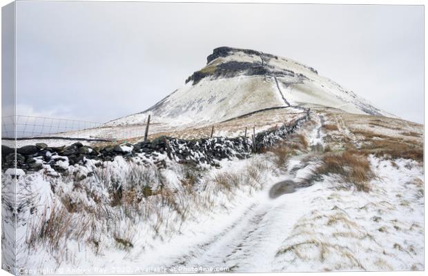 Snow on Pen-y-ghent Canvas Print by Andrew Ray
