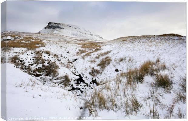 Snow at Pen-y-ghent Canvas Print by Andrew Ray