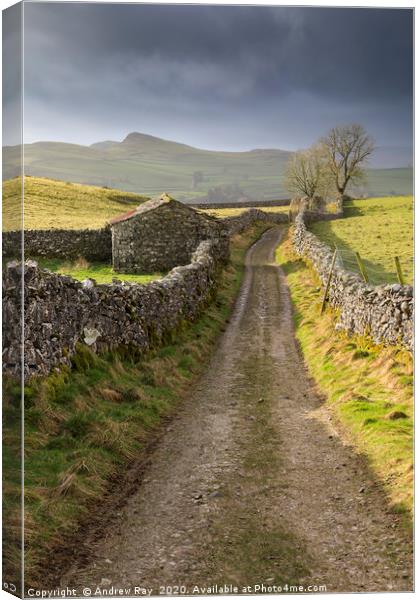 Barn at Goat Scar Lane Canvas Print by Andrew Ray