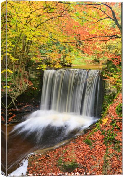 Autumn colour (Nant Mill Waterfall) Canvas Print by Andrew Ray