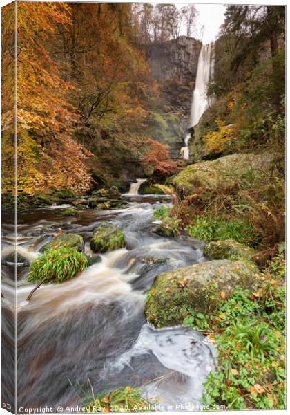 River at Pistyll Rhaeadr. Canvas Print by Andrew Ray