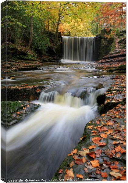 Nant Mill Waterfall Canvas Print by Andrew Ray