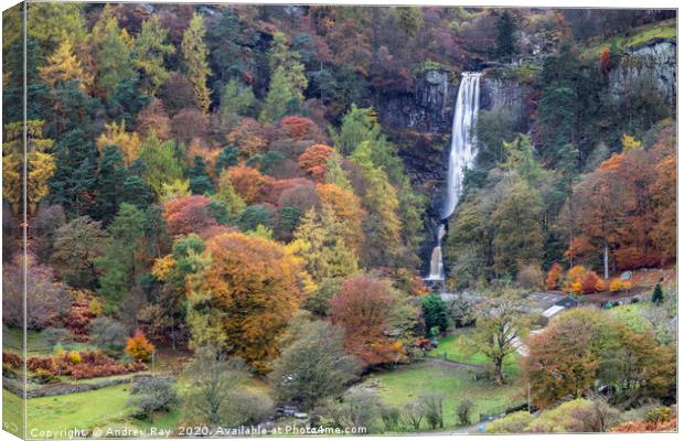 Autumnal view (Pistyll Rhaeadr) Canvas Print by Andrew Ray