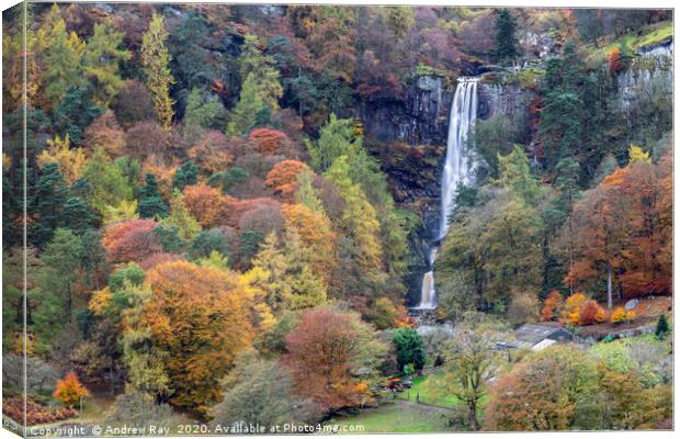 Autumnal trees at Pistyll Rhaeadr Canvas Print by Andrew Ray